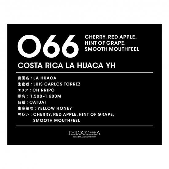 【終売】066 COSTA RICA LA HUACA YELLOW HONEY
