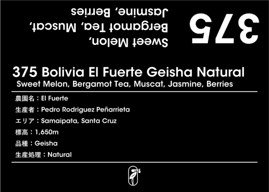 【kasuya selection】375 Bolivia El Fuerte Geisha Natural