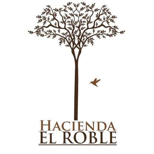 【終売】<br>326 Colombia El Roble HR61 Natural